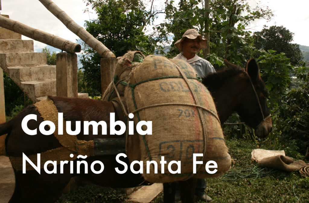 コロンビア ナリーニョ サンタフェ